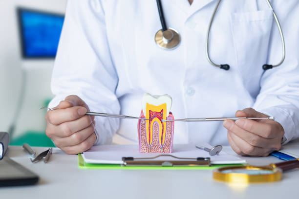 Best Weekend Emergency Dental Services in De Smet, SD